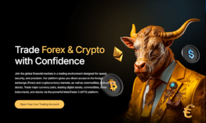 KaiserInvestors.com Review