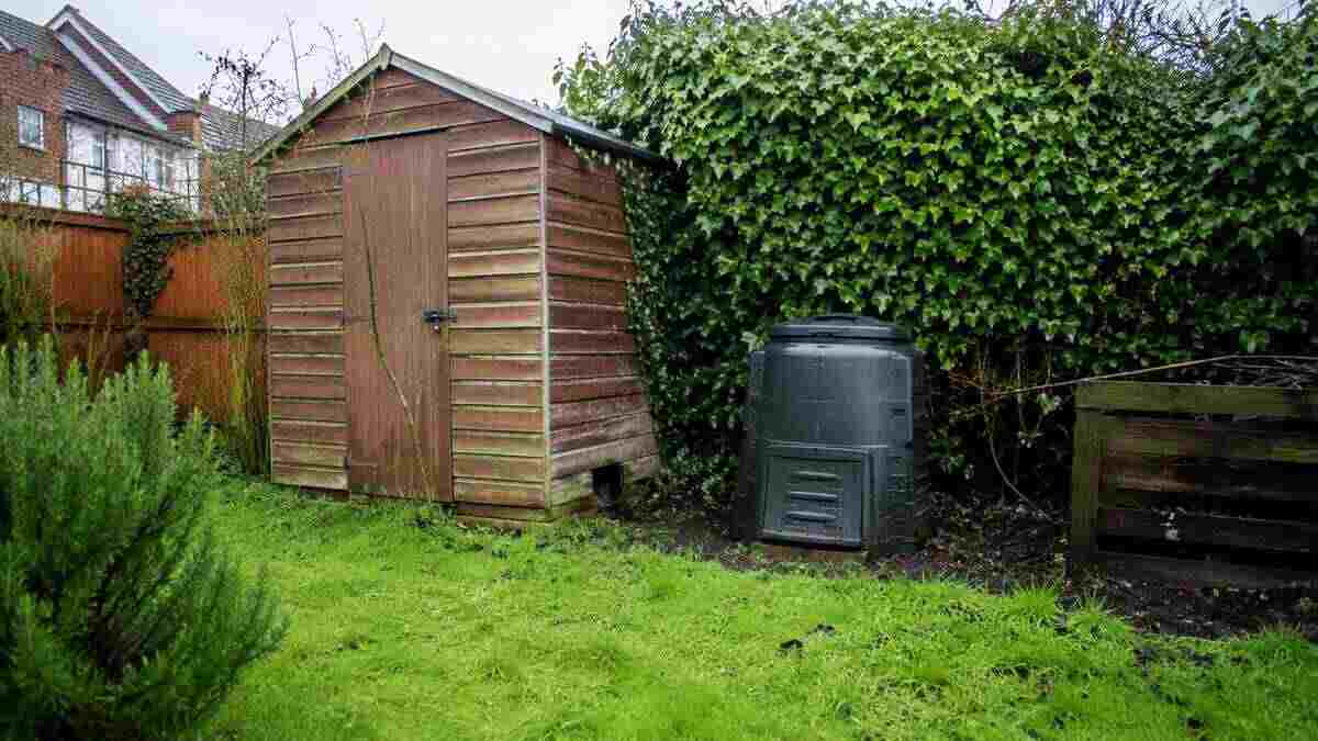UK Garden Rat Nesting Spots: Where They Hide and Why
