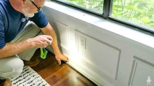 Why Termite Inspection Saves You More Than Just Money